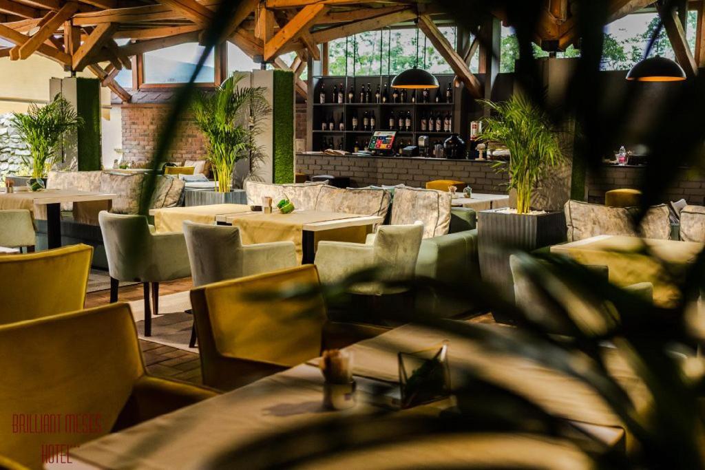 Hotel Brilliant Meses Zalău Eksteriør billede